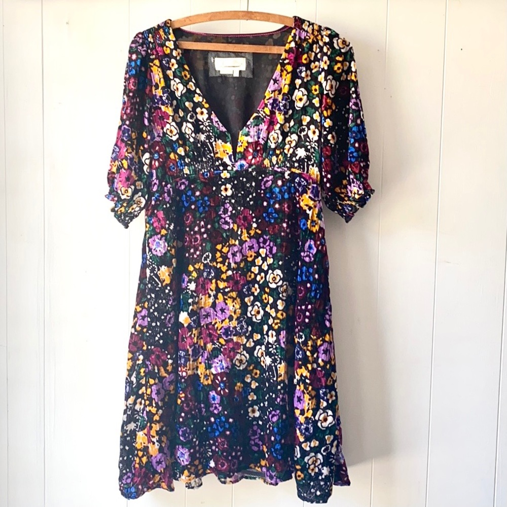 Anthropologie Francie Floral Velvet Dress Size 4 NEW